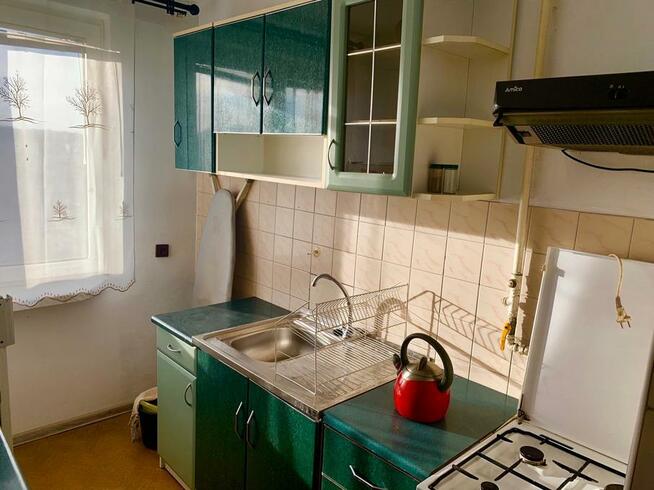 Mieszkanie do wynajecia