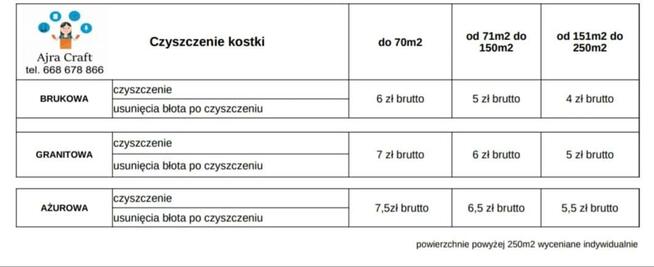 Karcher. Czyszczenie kostki brukowej/ pranie tapicerki