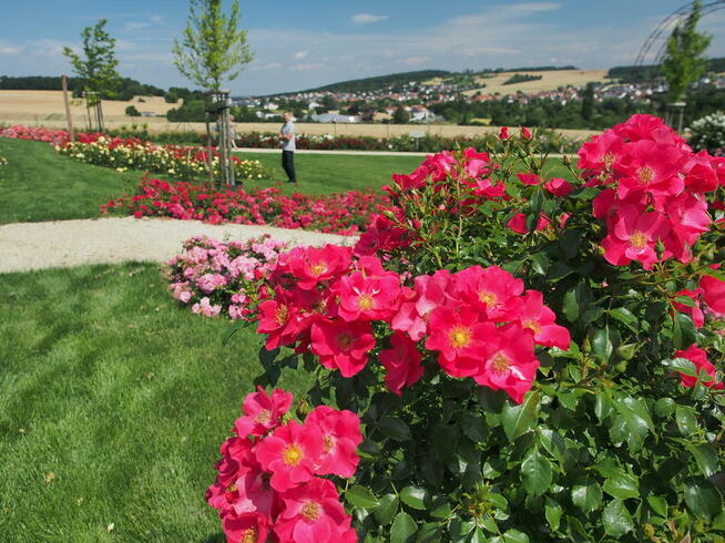 Usługi glebogryzarką separacyjną: trawniki, rabaty Nowy Sącz