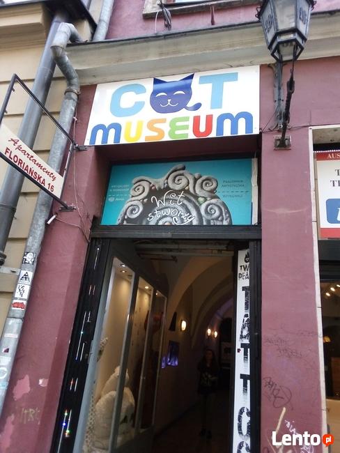 Zapraszamy do Muzeum Kotów w Krakowie