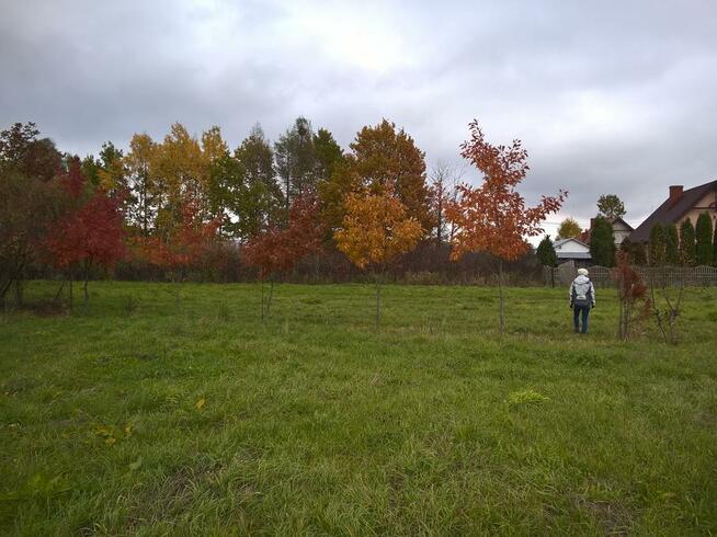 Wielgolas Duchnowski K. Halinów działka budowlana PILNE !