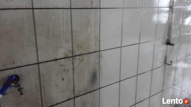 Sprzątanie, czyszczenie tapicerki mycie okien pranie dywanów