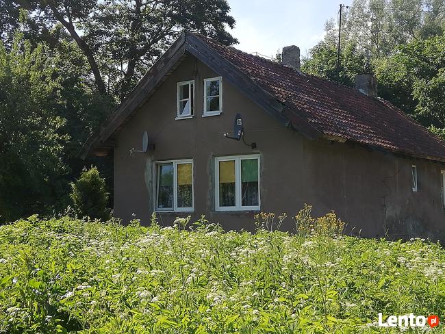 Dom wraz z ziemią rolną w Dzikowie Iławeckim