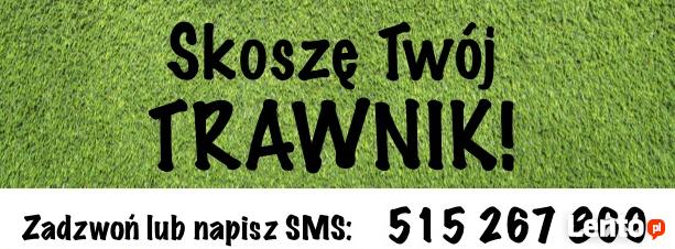 Koszenie trawy | Trawniki, działki, chaszcze, usuwanie krzaków