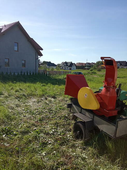 Pilarz-drwal, Arborysta wycinka i pielęgnacja drzew rębak