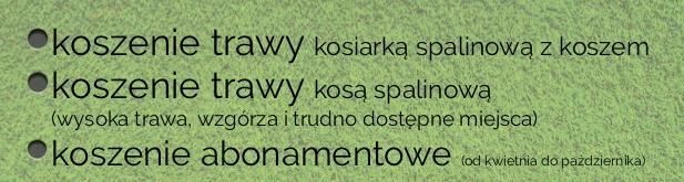 Koszenie trawy | Trawniki, działki, chaszcze, usuwanie krzaków
