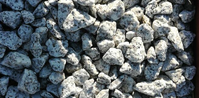 Grys dalmatyńczyk, kamienie do ogrodu