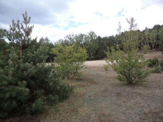 Działka budowlana Antoninów (Gostynin) prąd woda