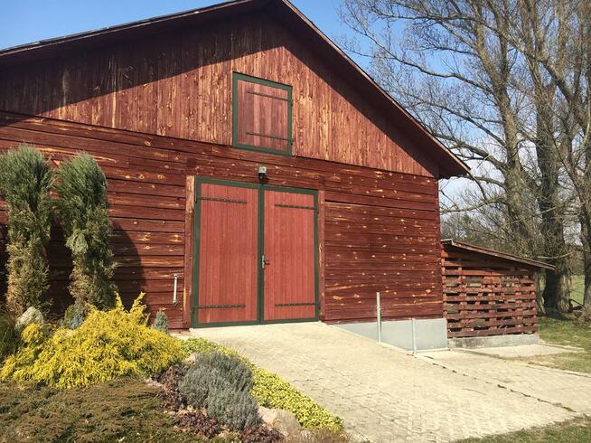 Stajnia, wolnowybiegowa pensjonat koni emerytów 55km odwaw