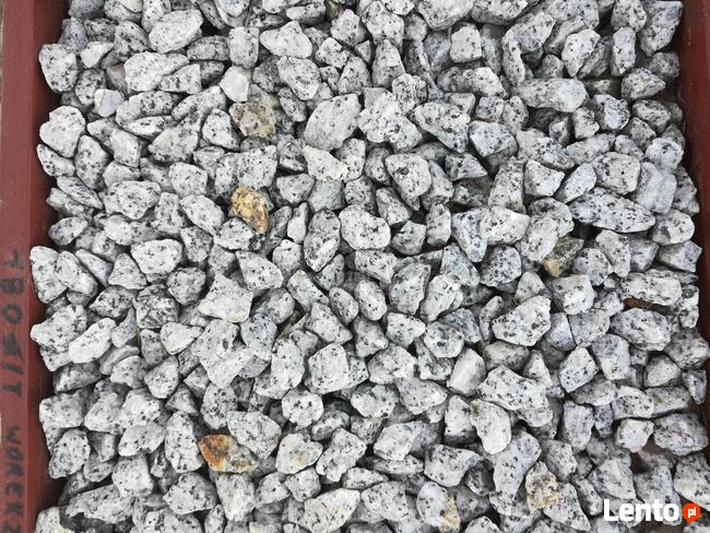 Grys dalmatyńczyk, kamienie do ogrodu