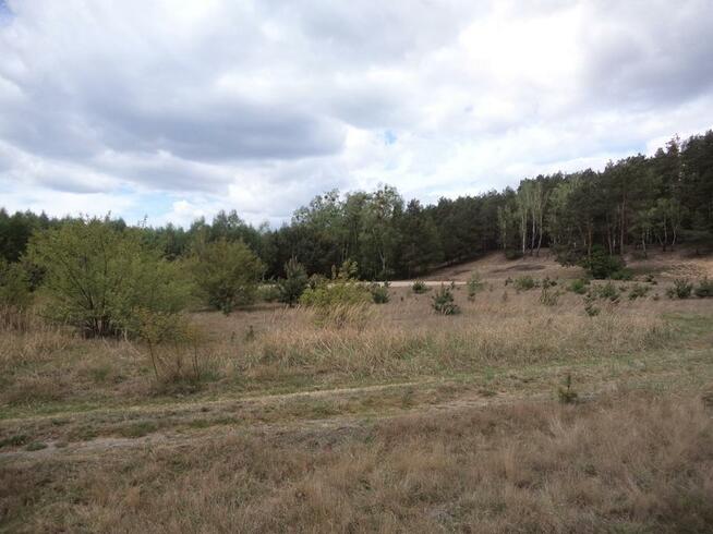 Działka budowlana Antoninów (Gostynin) prąd woda