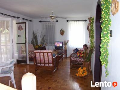 Węgry Jezioro Cisa Abádszalók domek do wynajęcia