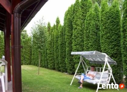 Węgry Jezioro Cisa Abádszalók domek do wynajęcia