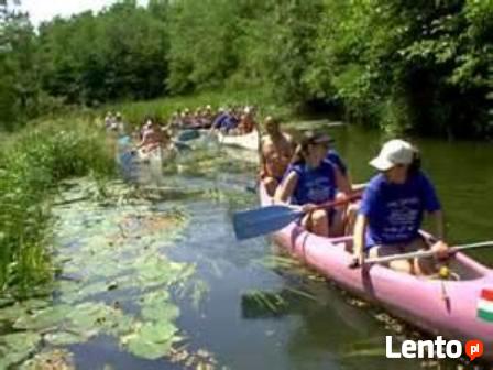 Węgry Jezioro Cisa Abádszalók domek do wynajęcia