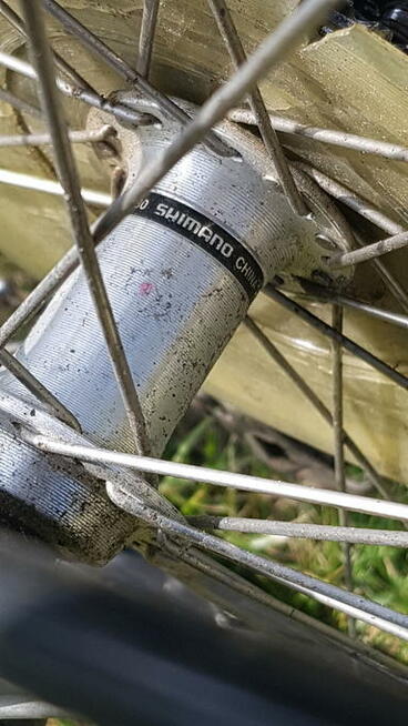 Rower KTM Avento Plus