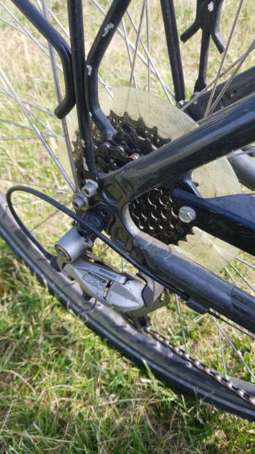 Rower KTM Avento Plus