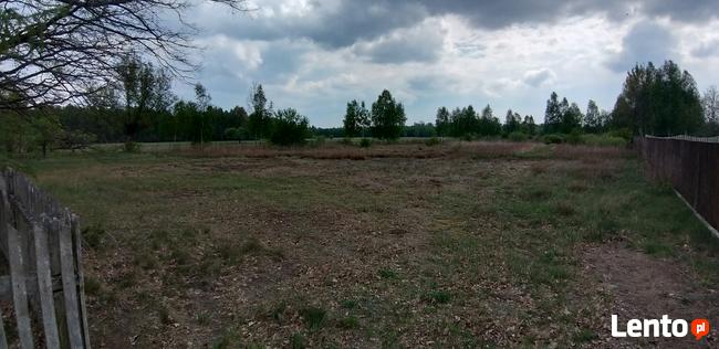 Działka budowlana 3000 m kw. w ZUZANOWIE, media, przy drodze