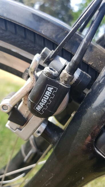 Rower KTM Avento Plus