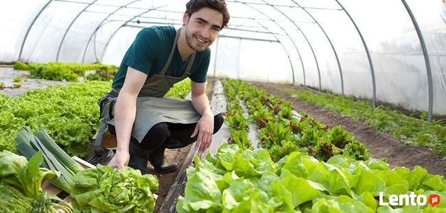 HACCP dla rolników prowadzących RHD Łomża