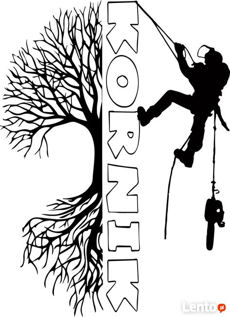 Wycinka i pielęgnacja drzew