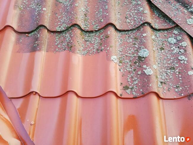 Mycie dachu, elewacji, mycie kostki brukowej, odyrzybianie