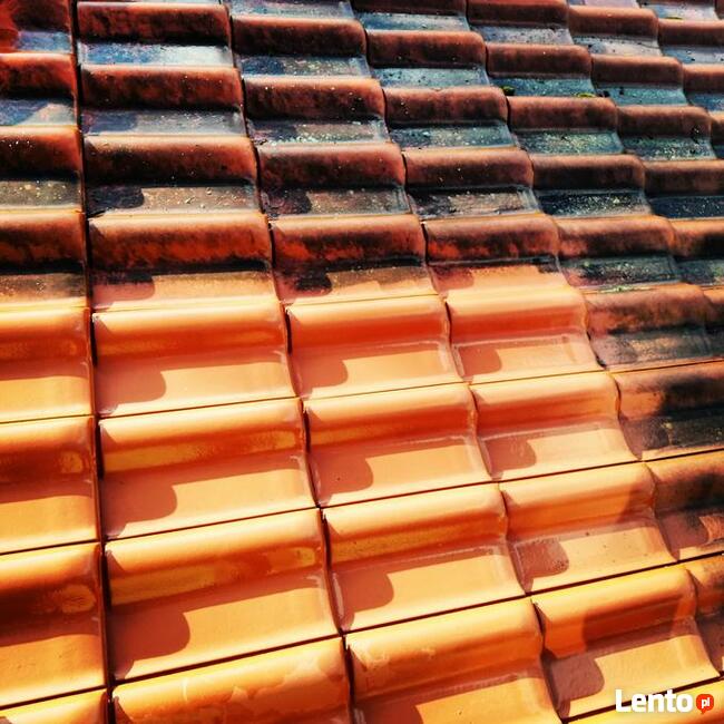 Mycie dachu, elewacji, mycie kostki brukowej, odyrzybianie