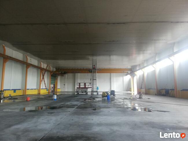 Mycie dachu, elewacji, mycie kostki brukowej, odyrzybianie