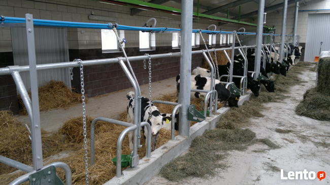 STANOWISKA DLA BYDŁA