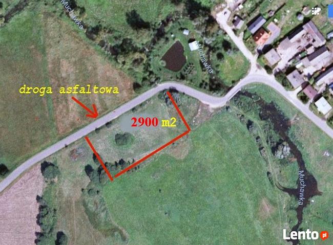 Siedlce, Opole Świerczyna - Działka rekreacyjna 2900 m2