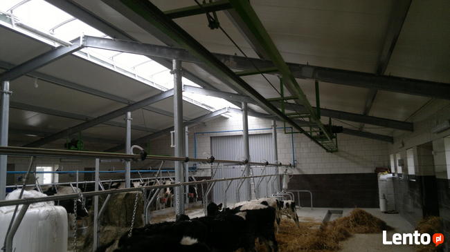 Szynowy zgarniacz obornika