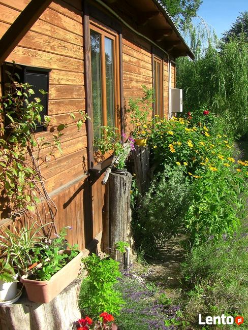 Dzialka w Bialowiezy