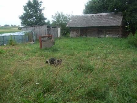 Działka budowlano-rolna na Podlasiu