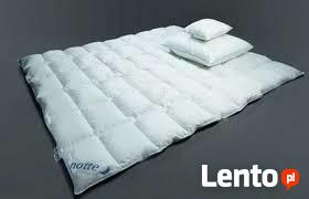 Zakład usługowy czyszczenie i dezynfekcja, ozonowanie pierza