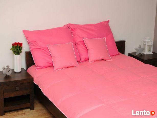 Zakład usługowy czyszczenie i dezynfekcja, ozonowanie pierza