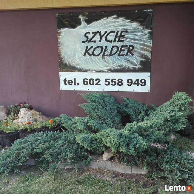 Zakład usługowy czyszczenie i dezynfekcja, ozonowanie pierza