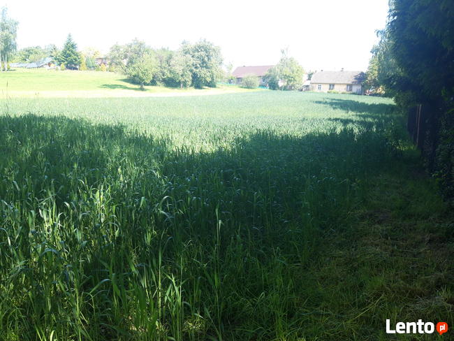 Sprzedam Piękną działkę.
