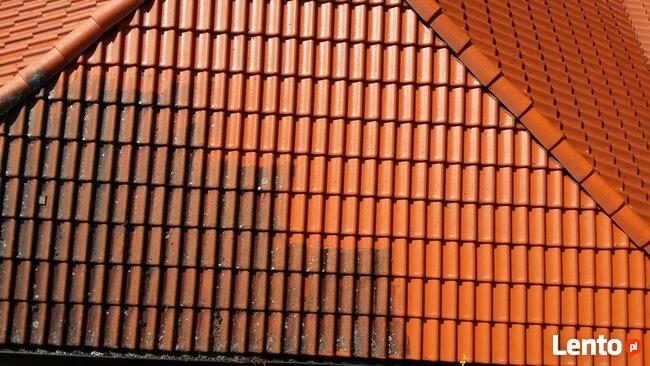 Mycie Dachów, Mycie Elewacji, Wynajem Podnośników Koszowych