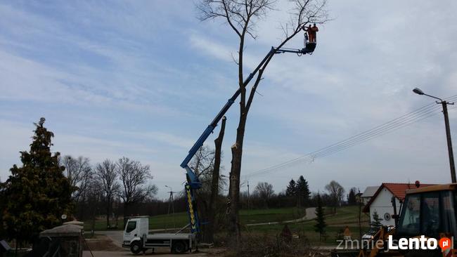 Podnośnik Koszowy Warszawa, Przasnysz, Gołymin, Winnica