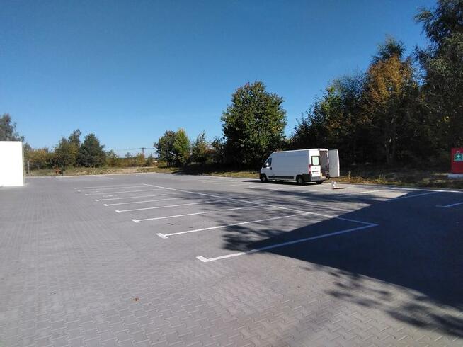 koperty dla niepełnosprawnych, oznakowanie malowanie linii