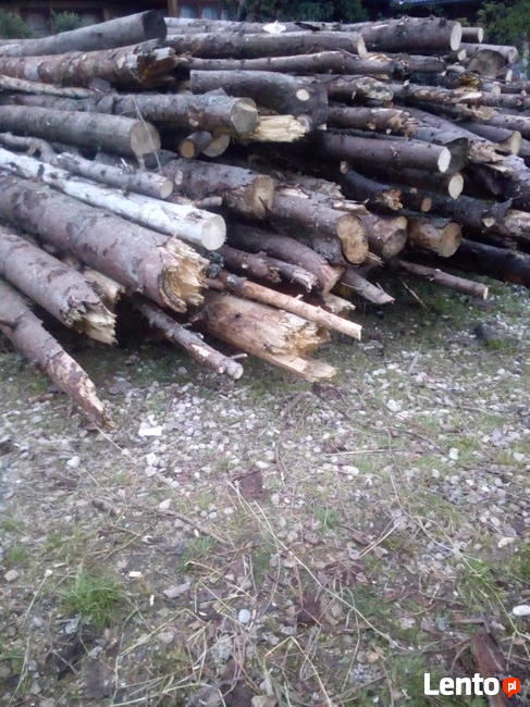 drewno opałowe rozpałkowe