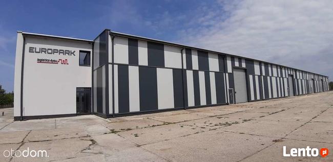 Hala na Sprzedaż ! 6500 m2 Plac Manewrowy 6,62 Ha