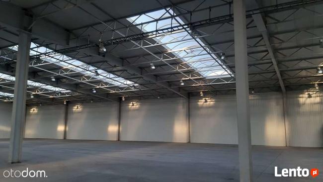 Hala na Sprzedaż ! 6500 m2 Plac Manewrowy 6,62 Ha