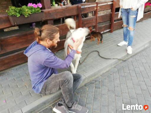 Hotel dla psów W BORDERKOWIE