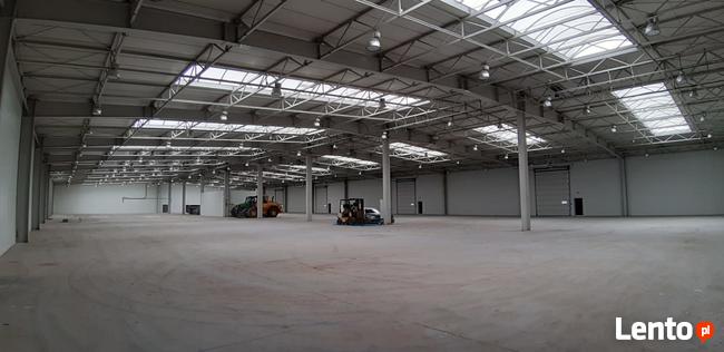 Hala na Sprzedaż ! 6500 m2 Plac Manewrowy 6,62 Ha