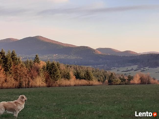 nocleg, pokoje, góry, beskidy, jezioro, ferie, kwatery,