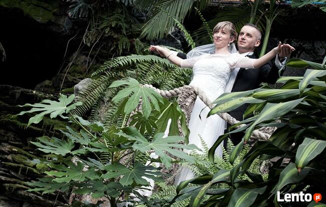 Fotografia Film Ślubny Litwiak.eu