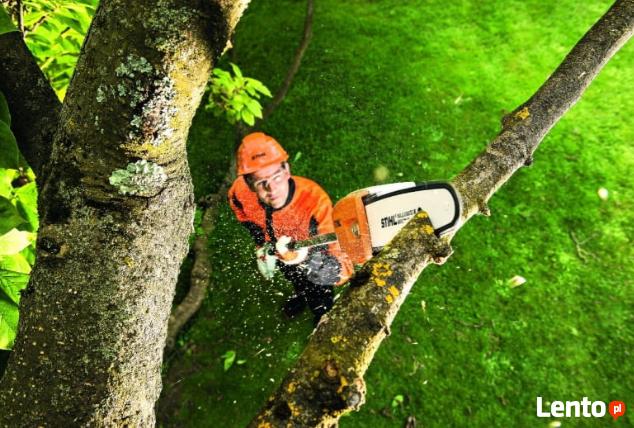 Usługi ogrodnicze - wertykulacja , aeracja trawnika