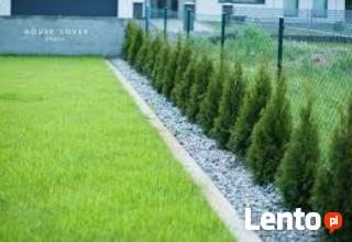 Usługi ogrodnicze - wertykulacja , aeracja trawnika