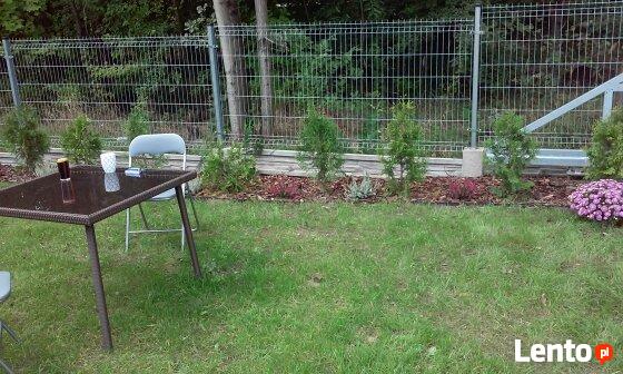 Domek Holenderski Przy Lesie Kobyla Góra