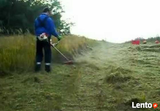 Usługi ogrodnicze - wertykulacja , aeracja trawnika